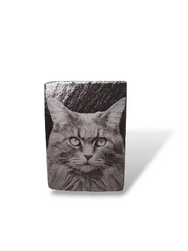 Portrait animal sur ardoise